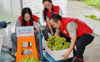 青岛移动助农还真不是用嘴说的,那可是真的上啊! 青岛移动助农还真不是用嘴说的,那可是真的上啊!